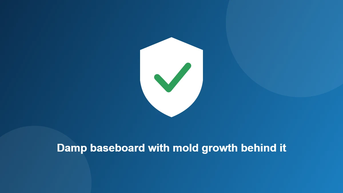 Illustration: Damp baseboard with mold growth behind it