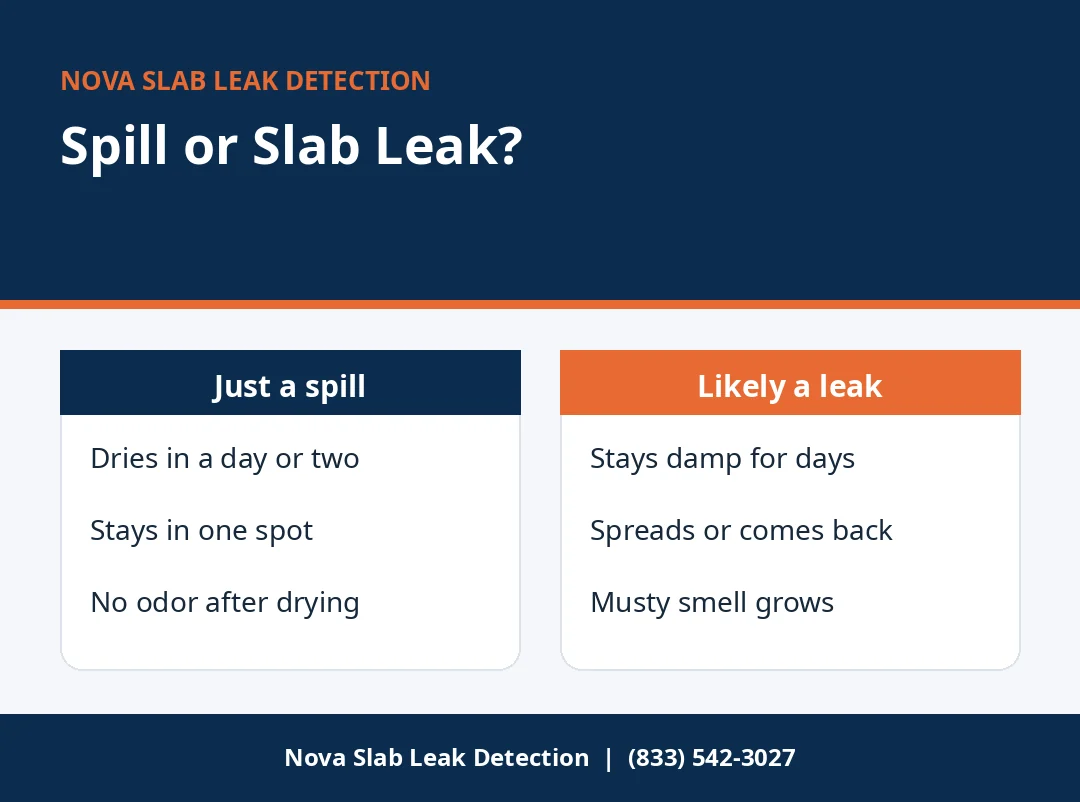 Infographic comparing a carpet spill with damp carpet caused by a slab leak