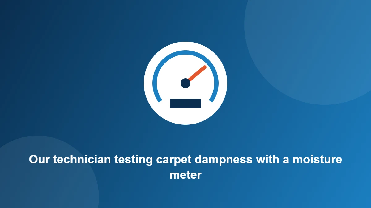 Illustration: Our technician testing carpet dampness with a moisture meter