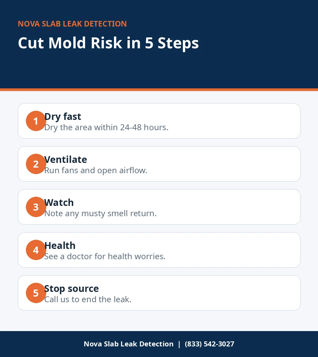 Infographic with five steps to cut mold risk after a slab leak