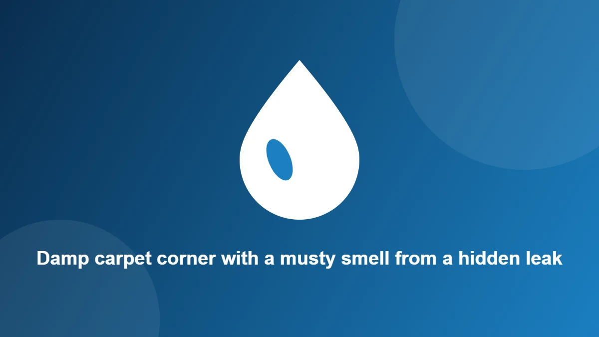 Illustration: Damp carpet corner with a musty smell from a hidden leak