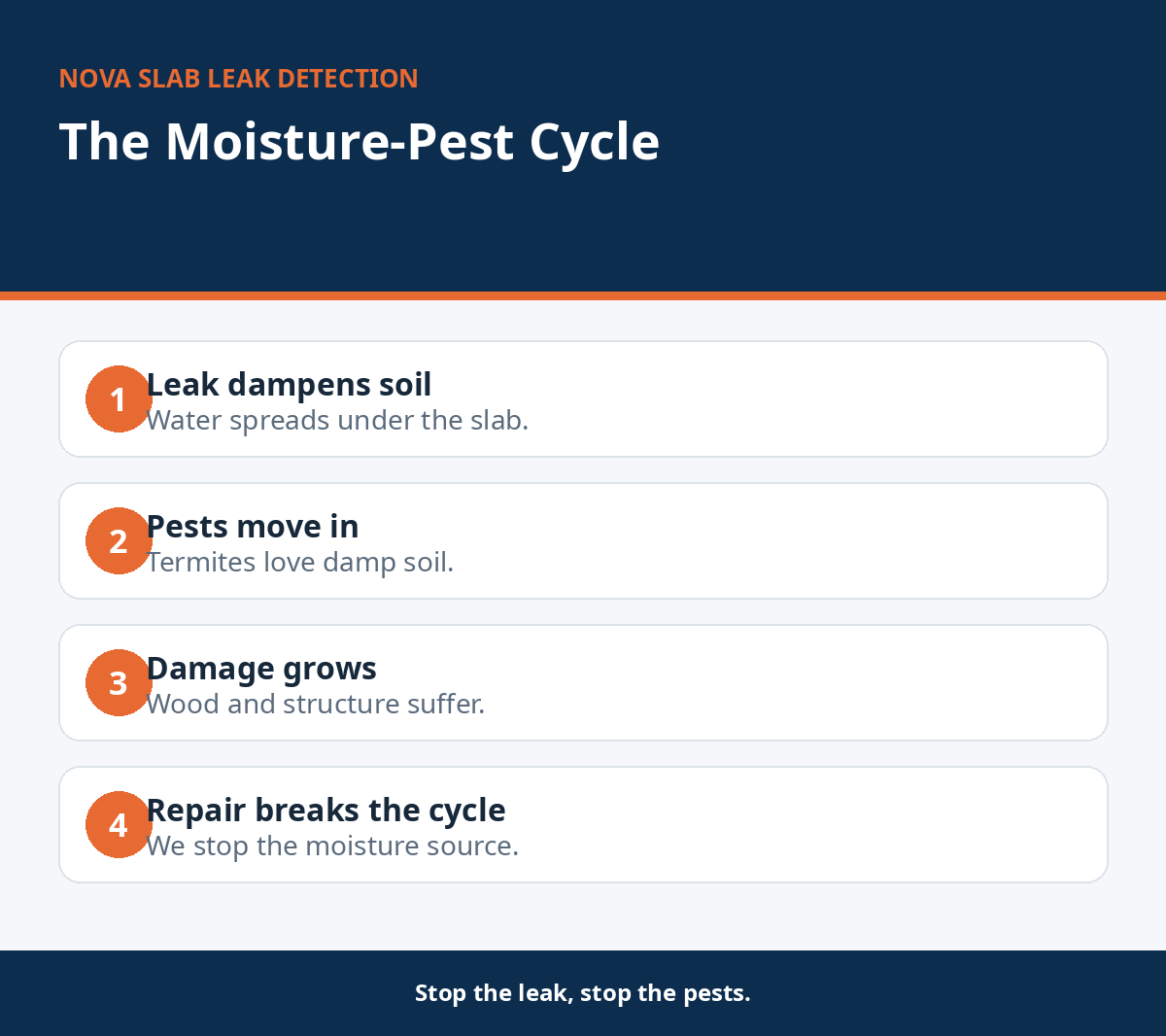 Cycle of slab leak moisture attracting termites and pests