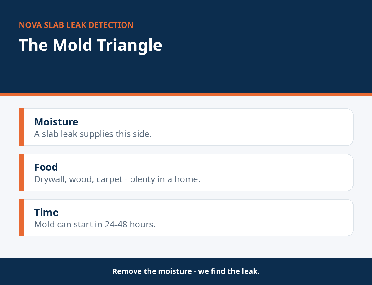 Mold triangle showing moisture, food, and time needed for growth