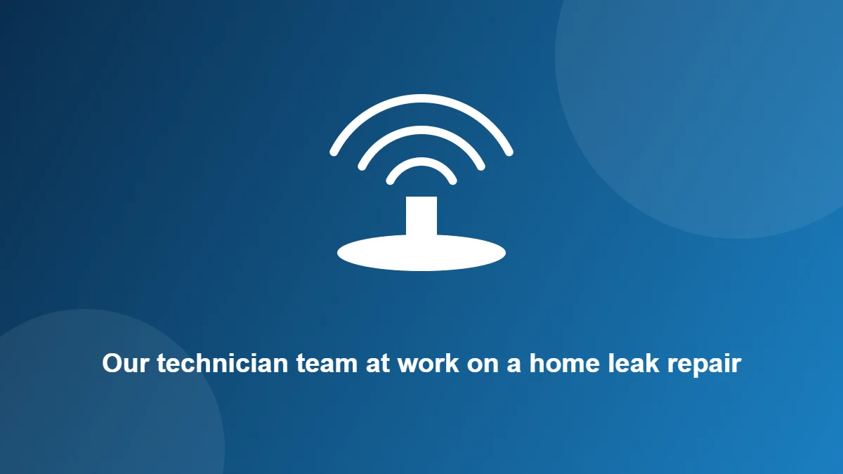 Illustration: Our technician team at work on a home leak repair