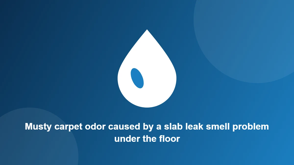 Illustration: Musty carpet odor caused by a slab leak smell problem under the floor