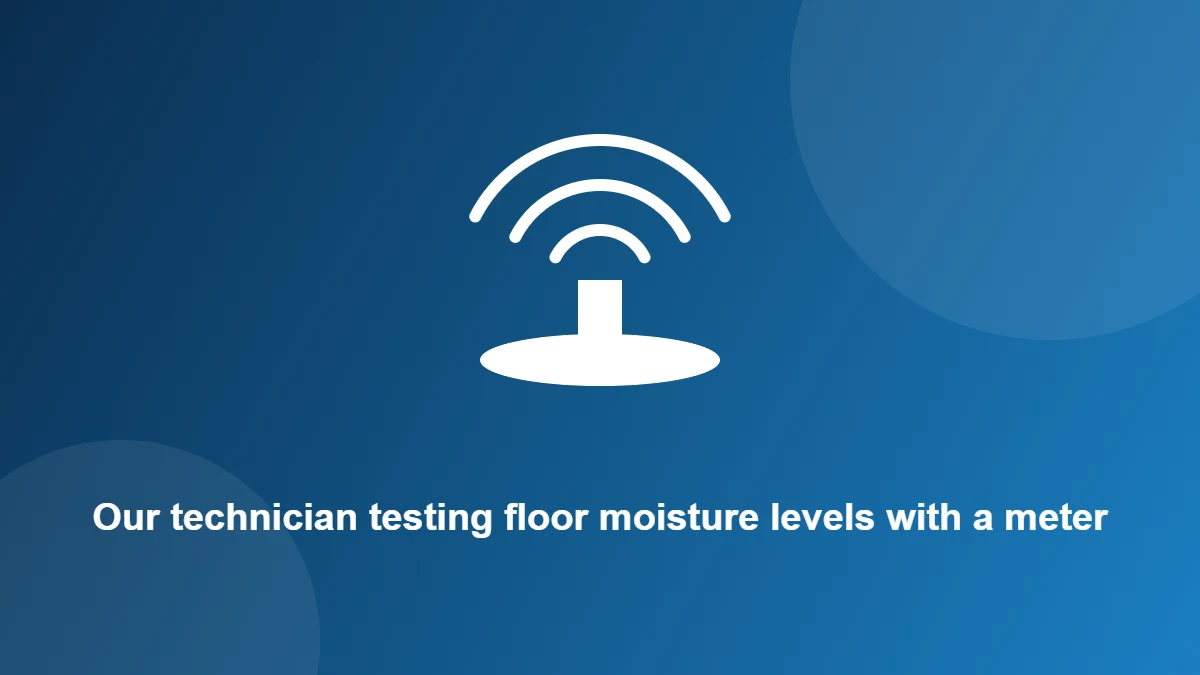 Illustration: Our technician testing floor moisture levels with a meter