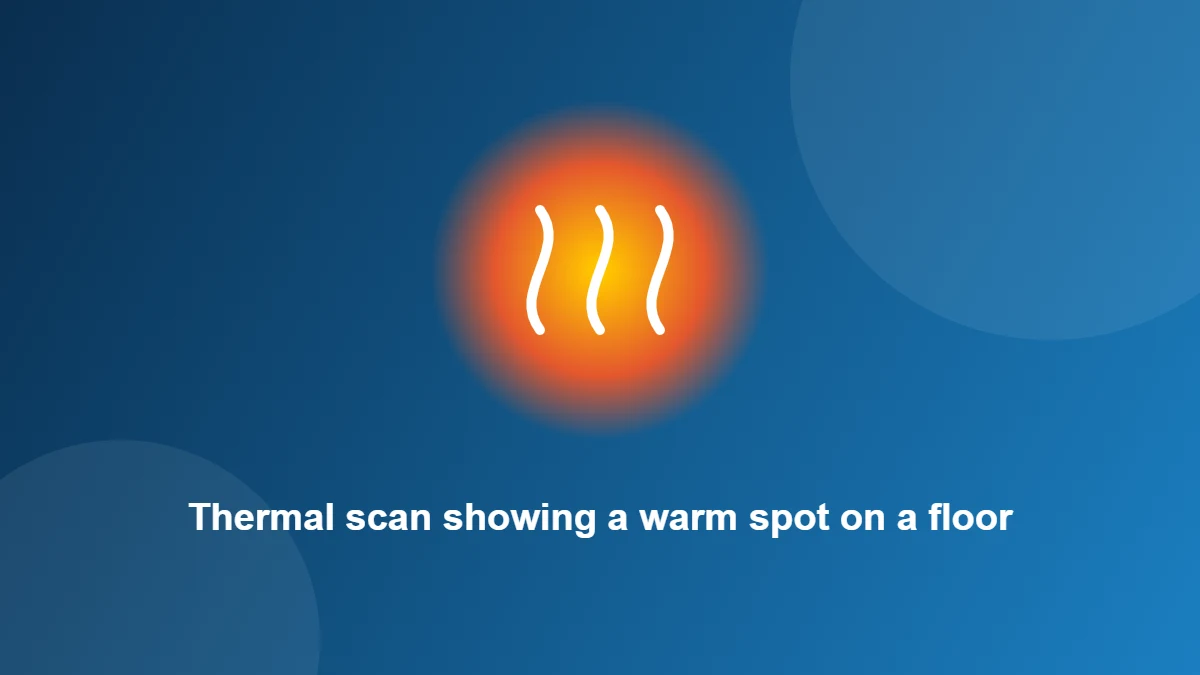 Illustration: Thermal scan showing a warm spot on a floor